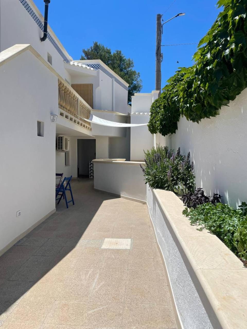 Patio, Day, Inner courtyard view