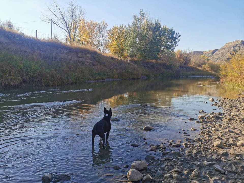 River view