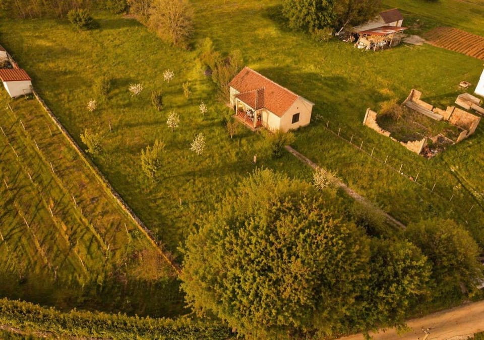 Property building, Spring, Day, Natural landscape, Bird's eye view, Garden, Garden view