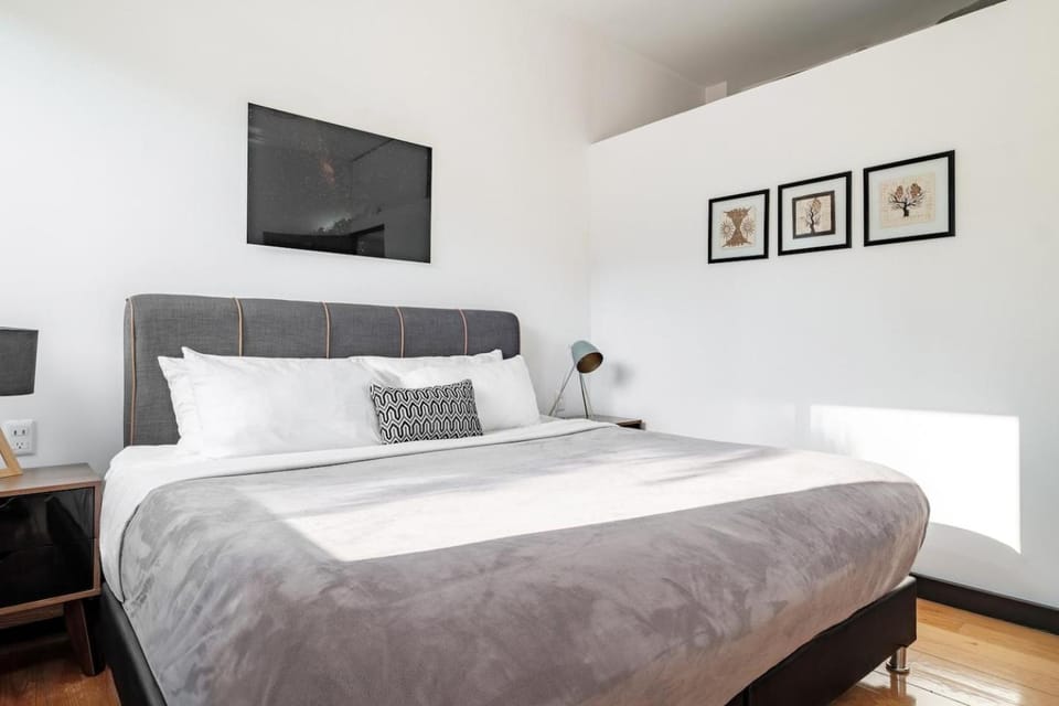 Comfortable & Cozy Apartment Reforma Avenue Apartment in Mexico City