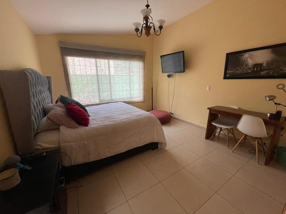 Urban Oasis Bed and Breakfast in Mexico City