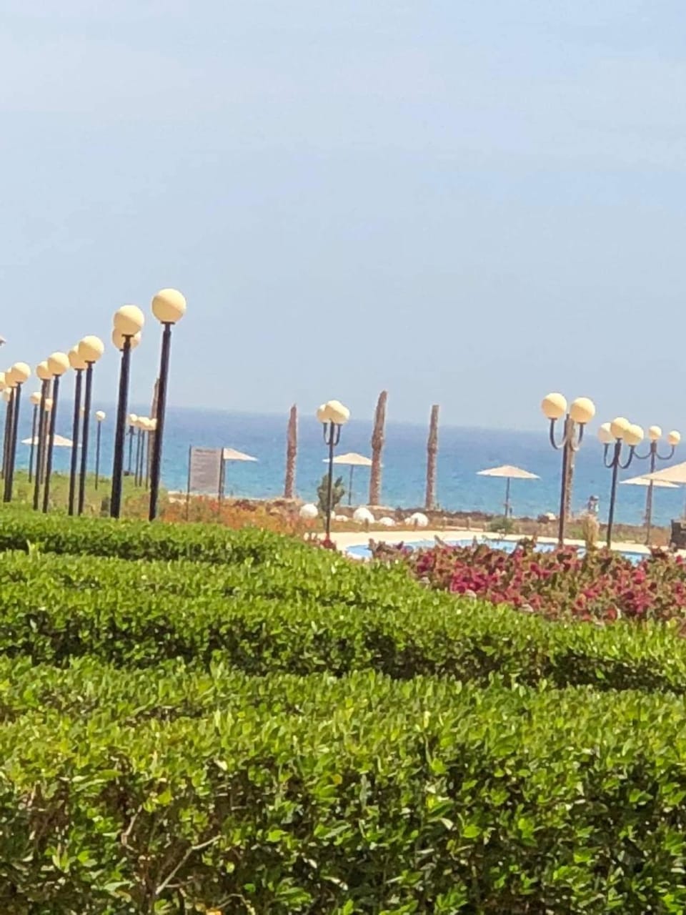 Garden view