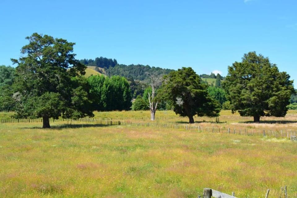 Riverlea Cottage - cosy, comfy, quiet, central House in Manawatū-Whanganui, New Zealand