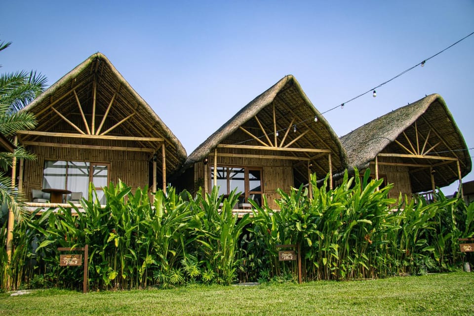 Property building, Spring, Day, Natural landscape, Garden, Garden view
