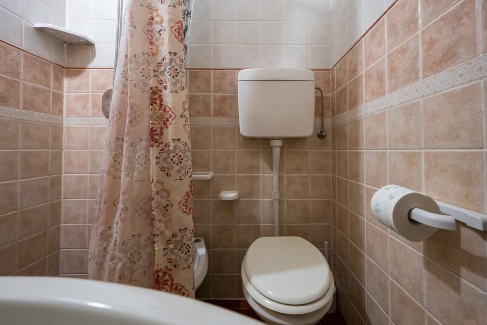 Shower, Toilet, Bathroom, bidet