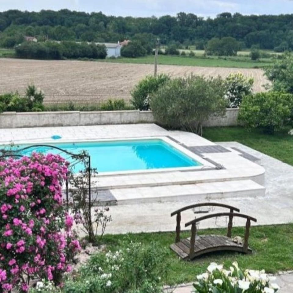 Spring, Day, Natural landscape, Garden, Garden view, Pool view, Swimming pool, sunbed