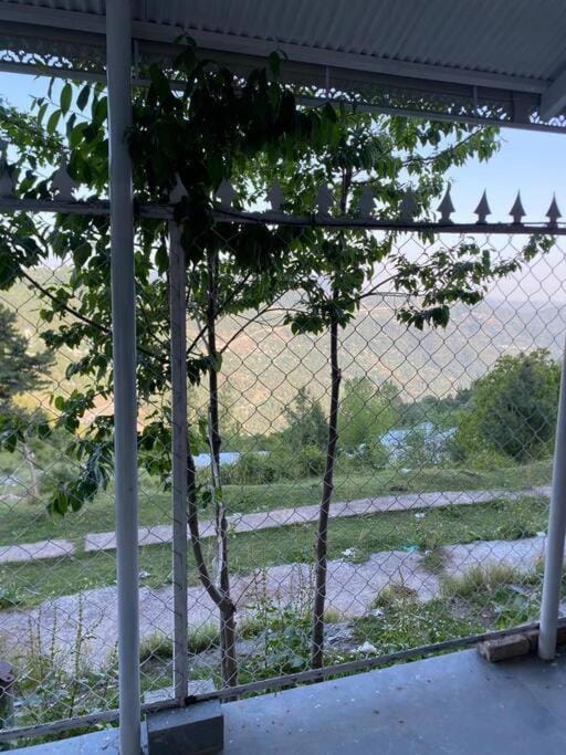 Natural landscape, Garden, Mountain view