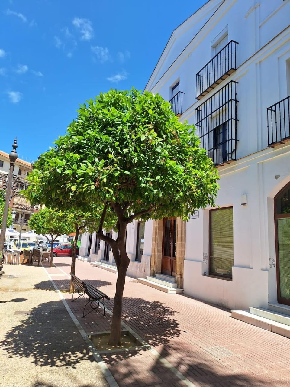 Street view