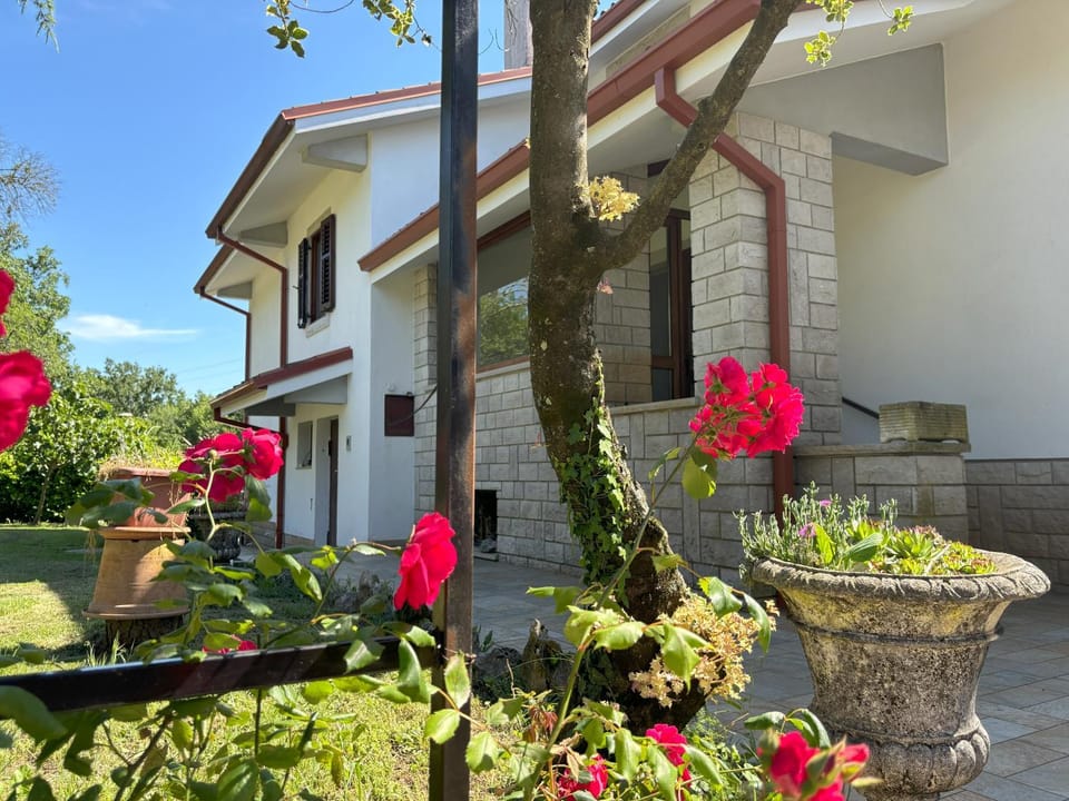 Property building, Day, Garden