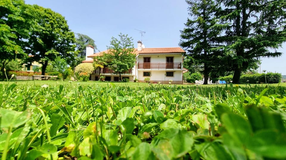 Garden, Garden view, Garden view