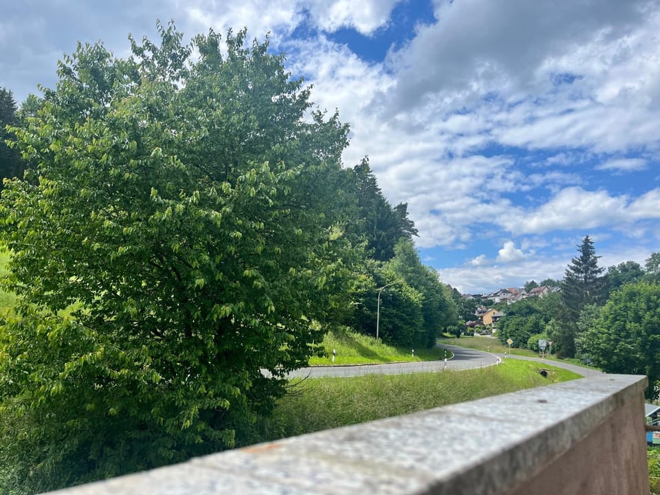 View (from property/room), Street view