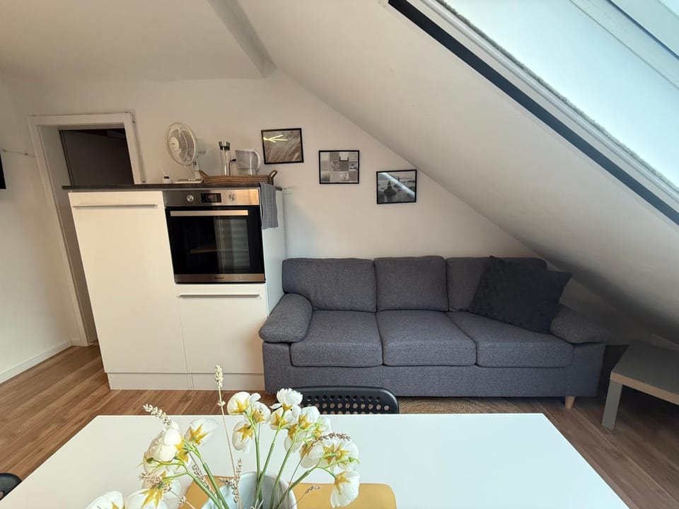 Kitchen or kitchenette, Living room, Seating area, Dining area, oven