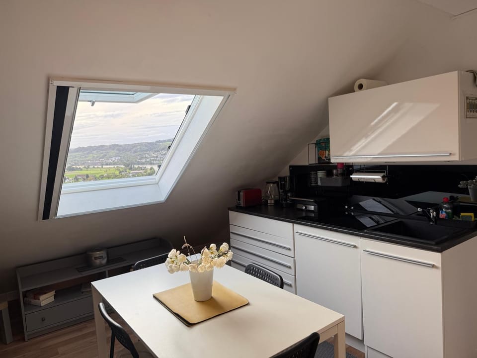 Coffee/tea facilities, Kitchen or kitchenette, Dining area, oven, stove, toaster