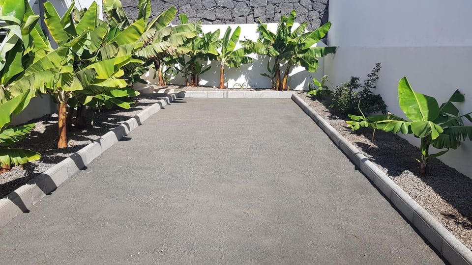 Patio, Garden, Garden view