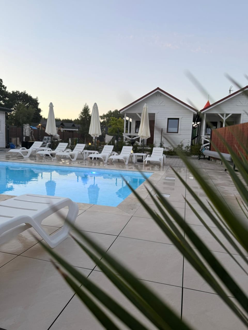 Pool view, Swimming pool, sunbed