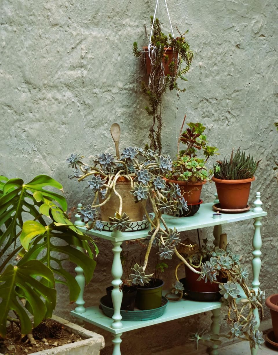 Day, Garden