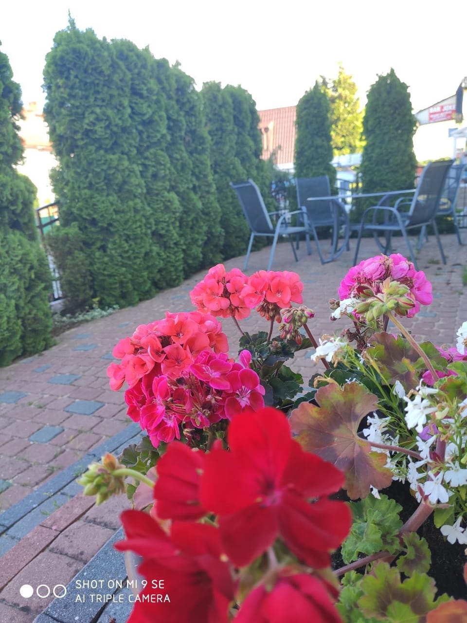 Spring, Balcony/Terrace