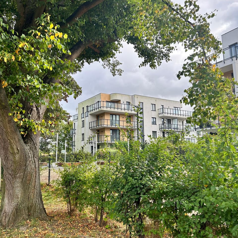 Property building, Natural landscape