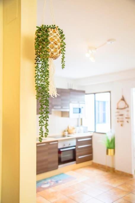 Kitchen or kitchenette, Dining area, stove