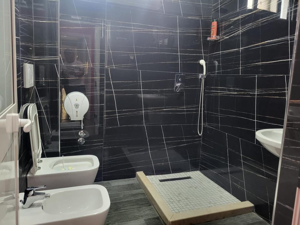 Shower, Toilet, Bathroom, bidet