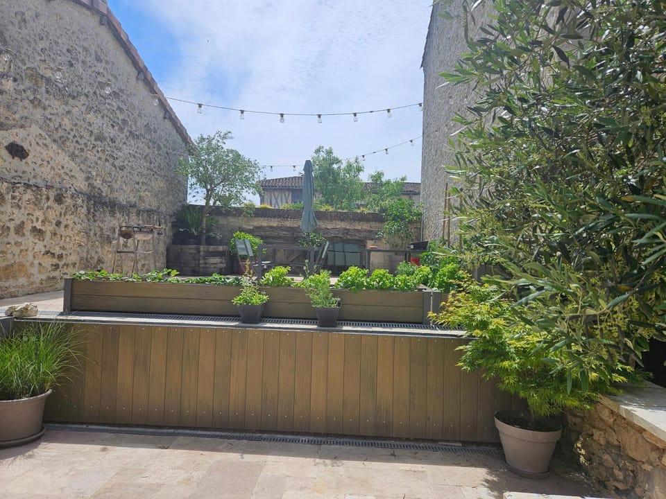 Garden, Balcony/Terrace, Garden view