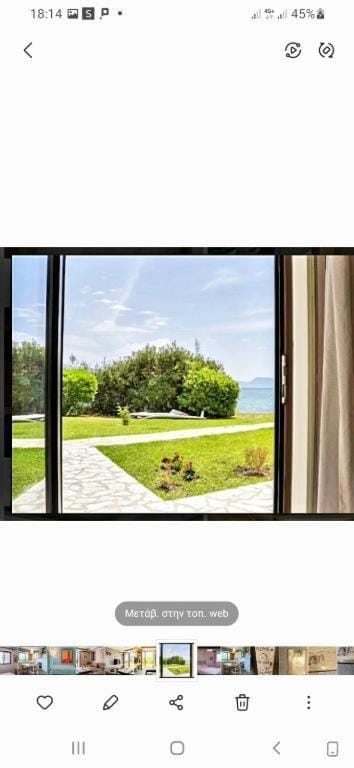 Garden, Balcony/Terrace