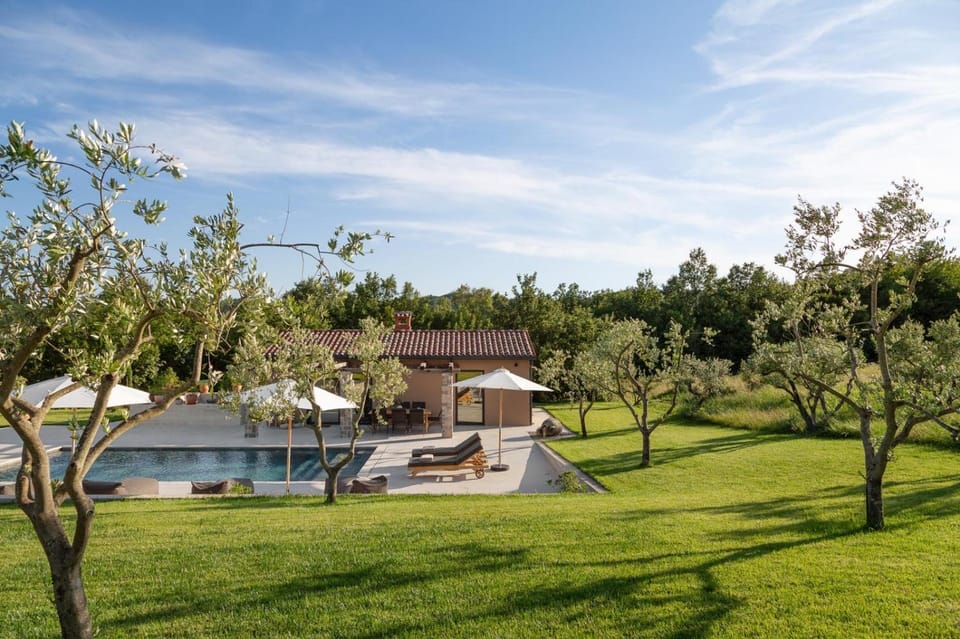 Spring, Day, Natural landscape, Garden, Garden view, Pool view, Swimming pool, sunbed