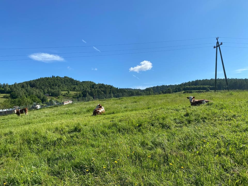 Domki Mizerna - Czorsztyn - Pieniny House in Lesser Poland Voivodeship