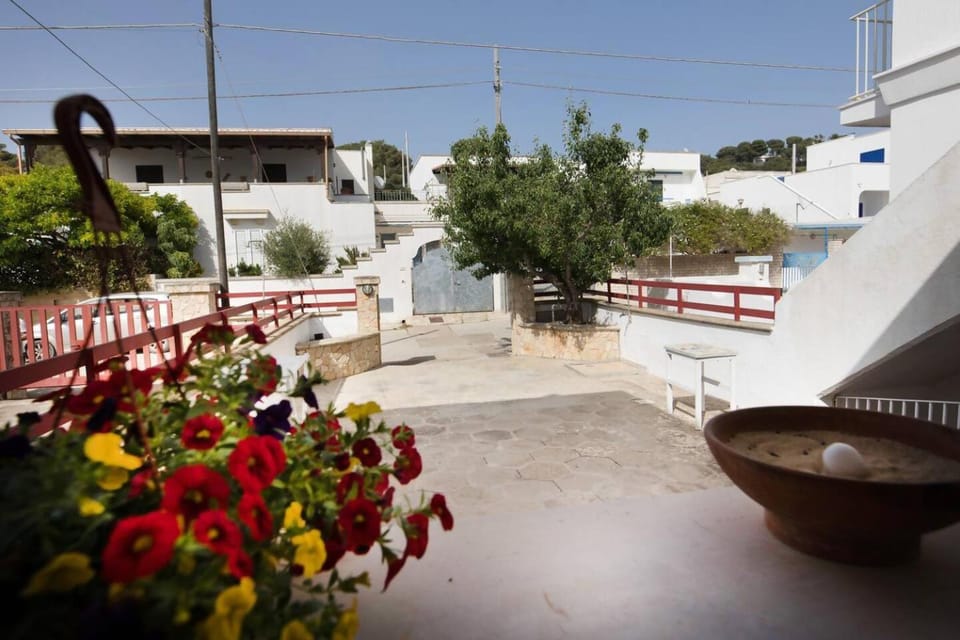Patio, Facade/entrance