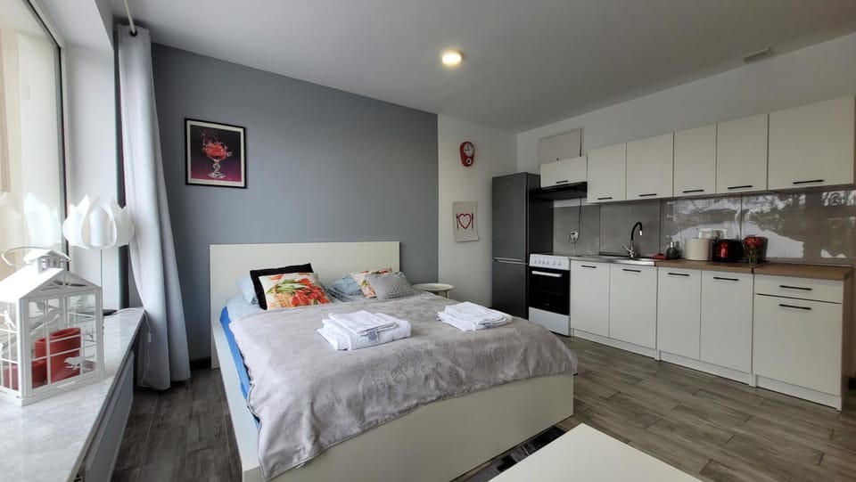 Kitchen or kitchenette, Bedroom, Communal kitchen, oven