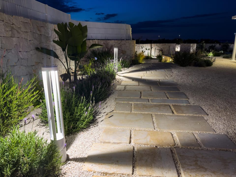 Night, Garden