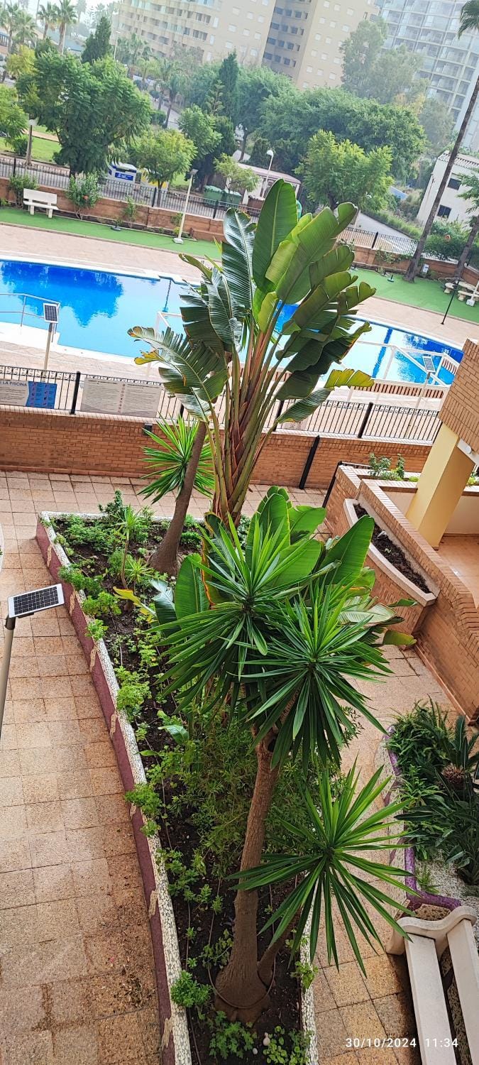 CC316- Costa Caribe I World, Classic - ServHouse Apartment in Valencian Community