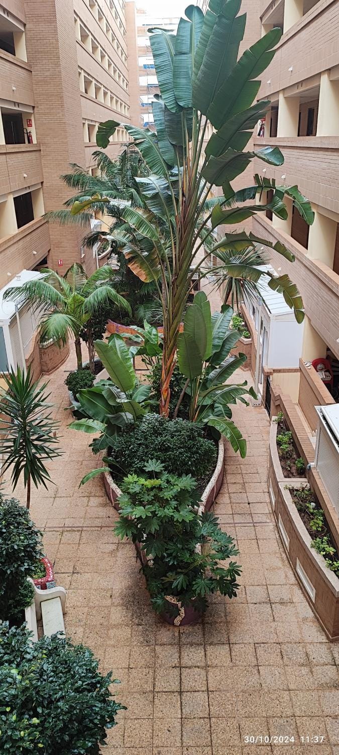 CC316- Costa Caribe I World, Classic - ServHouse Apartment in Valencian Community