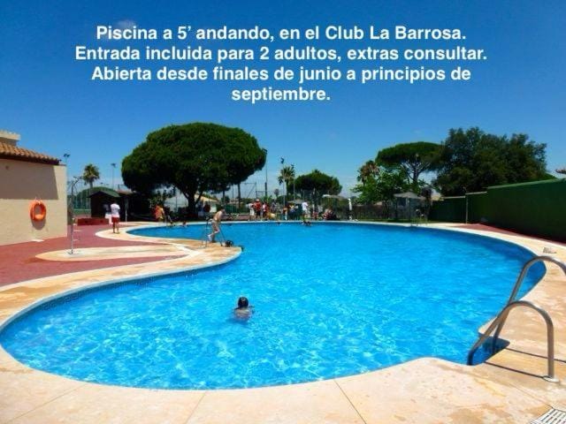 Day, Pool view, Swimming pool