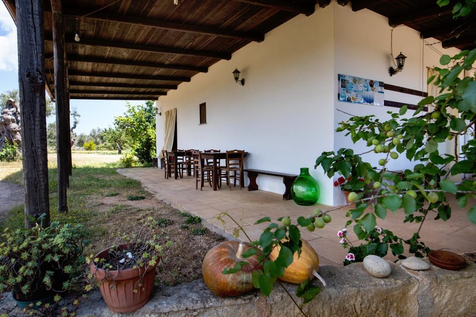 Facade/entrance, Garden