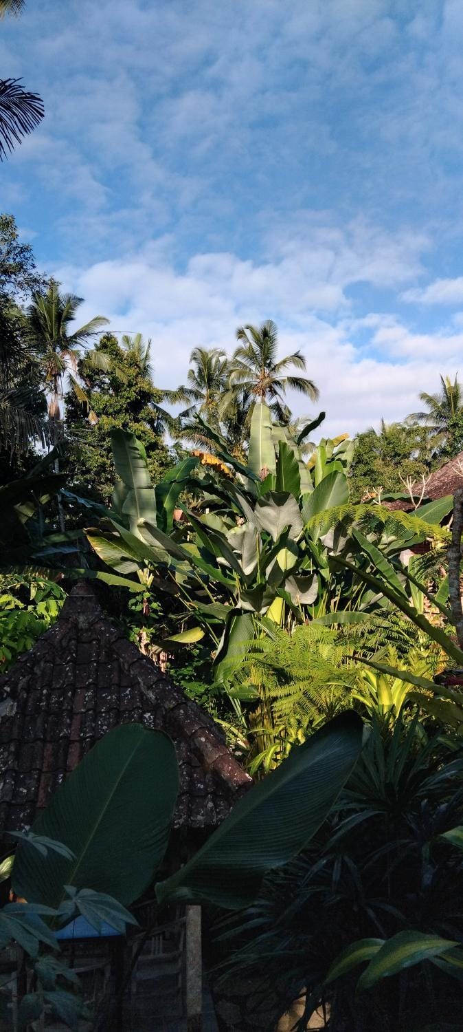 Umah mimpi deluxe room Bed and Breakfast in Tampaksiring