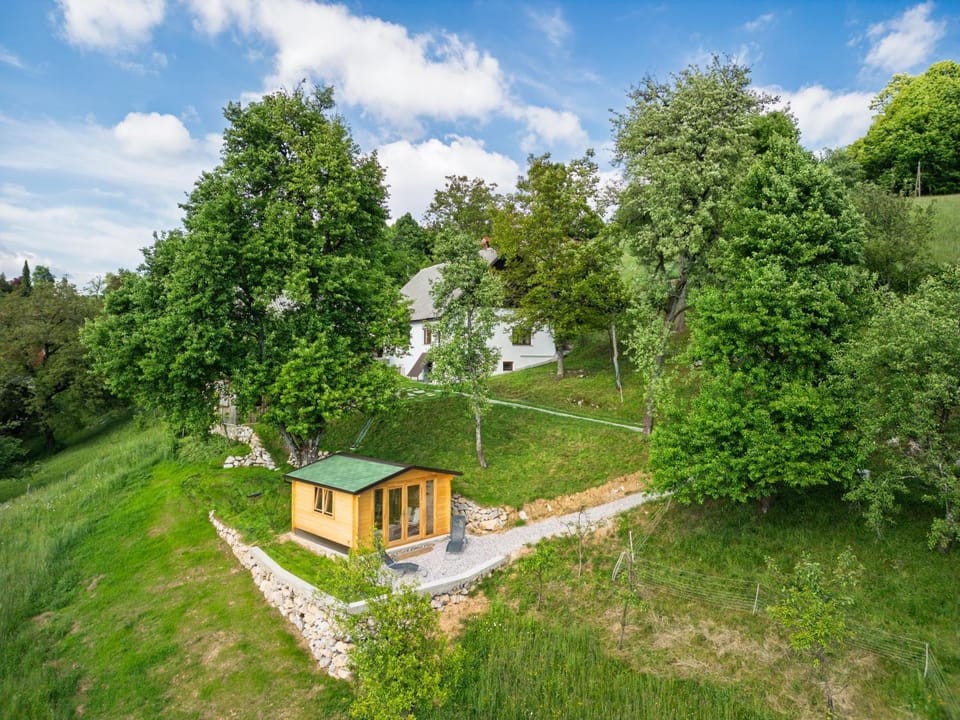 Day, Natural landscape, Garden