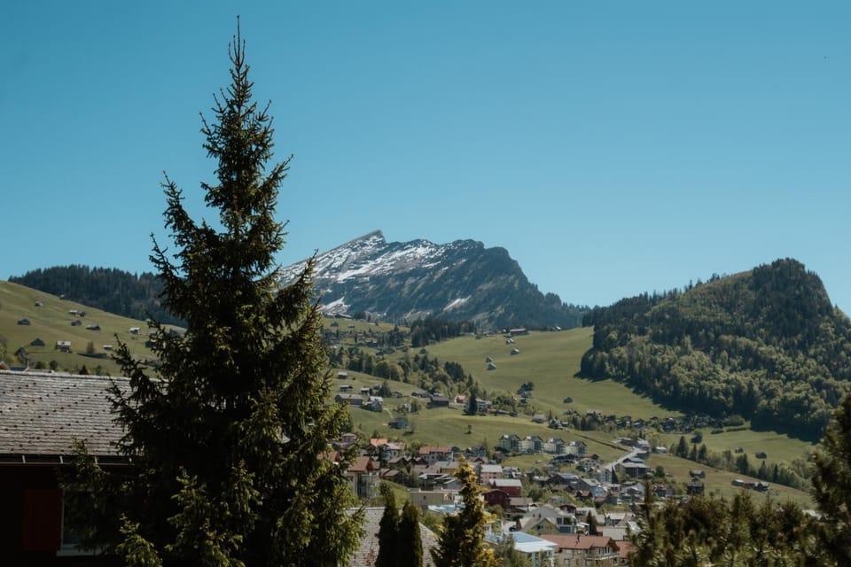 Natural landscape
