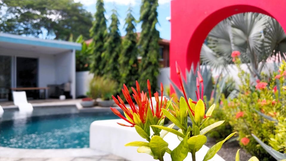 Patio, Garden, Garden view