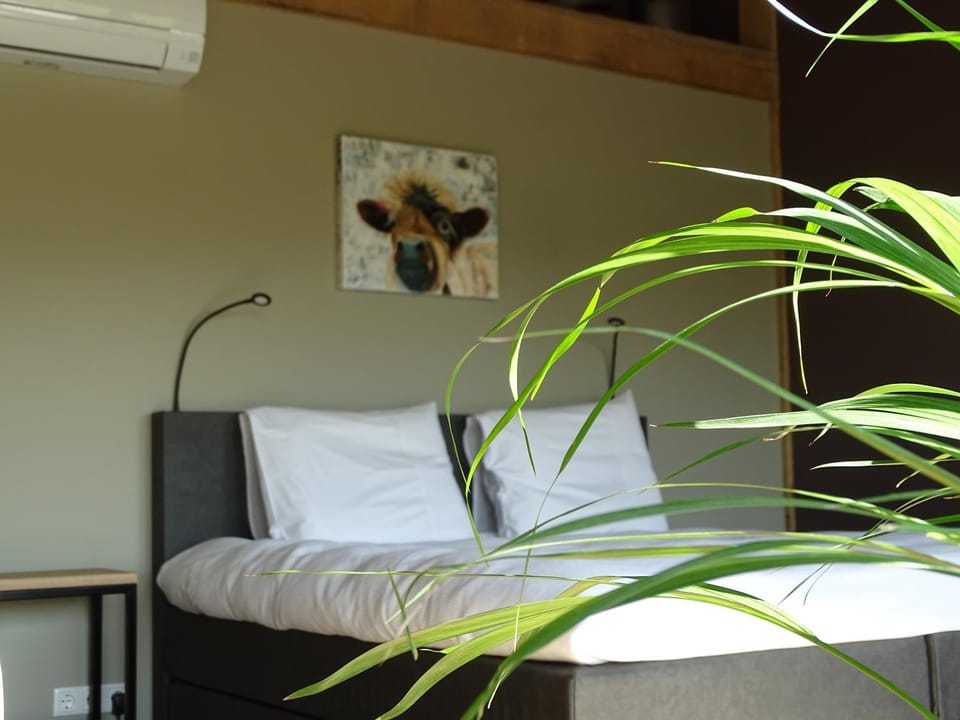 Boerderijkamers Sniedershof Bed and Breakfast in Overijssel (province)