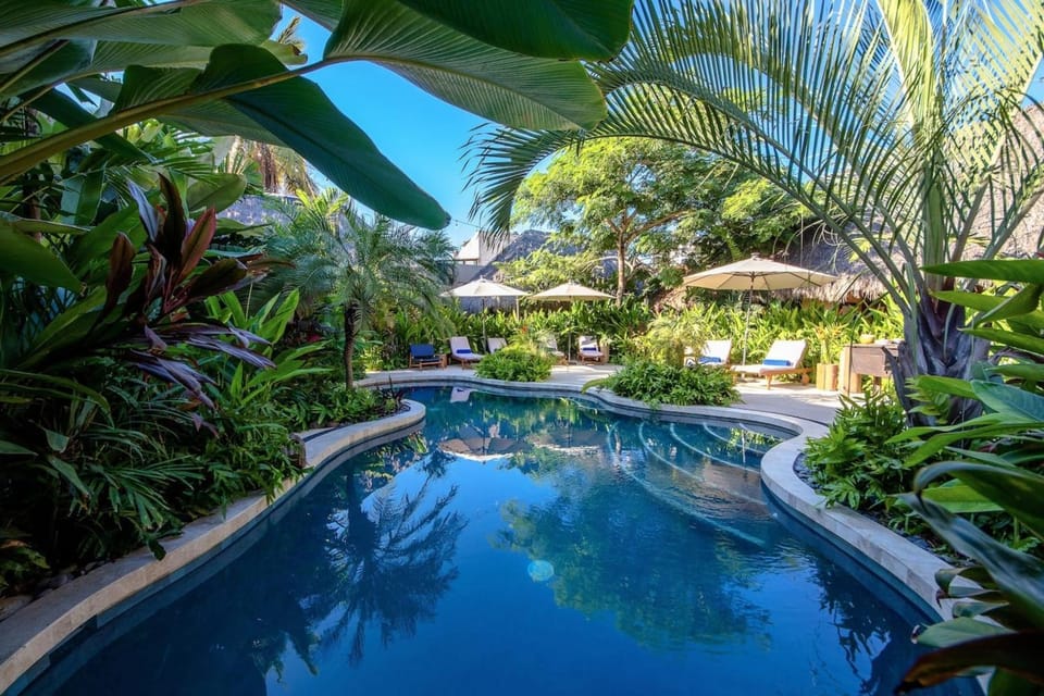 Swimming pool, Swimming pool
