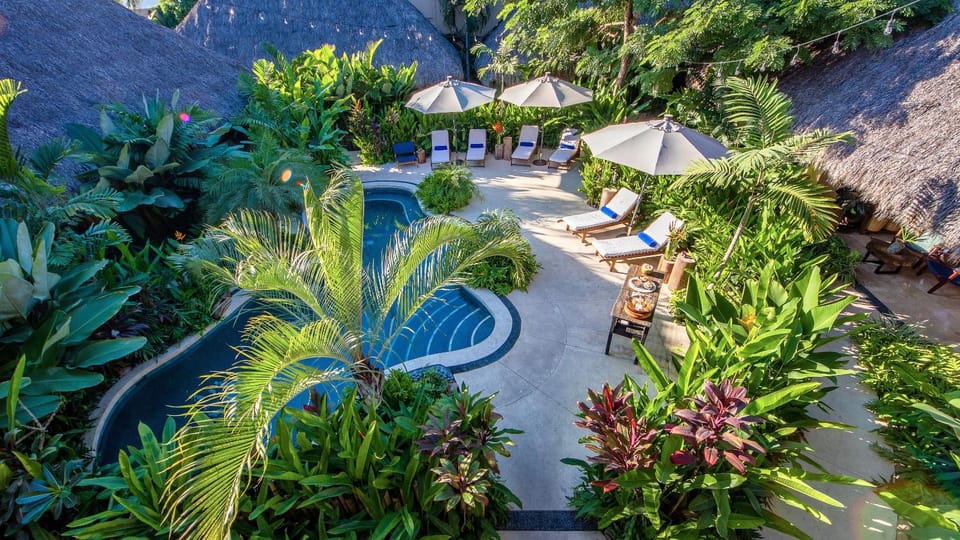 Garden, View (from property/room), Garden view, Pool view, Swimming pool, Swimming pool, sunbed