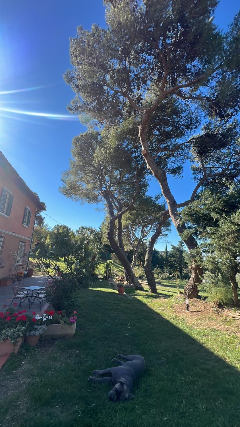 Allulivus Bed and Breakfast in Livorno