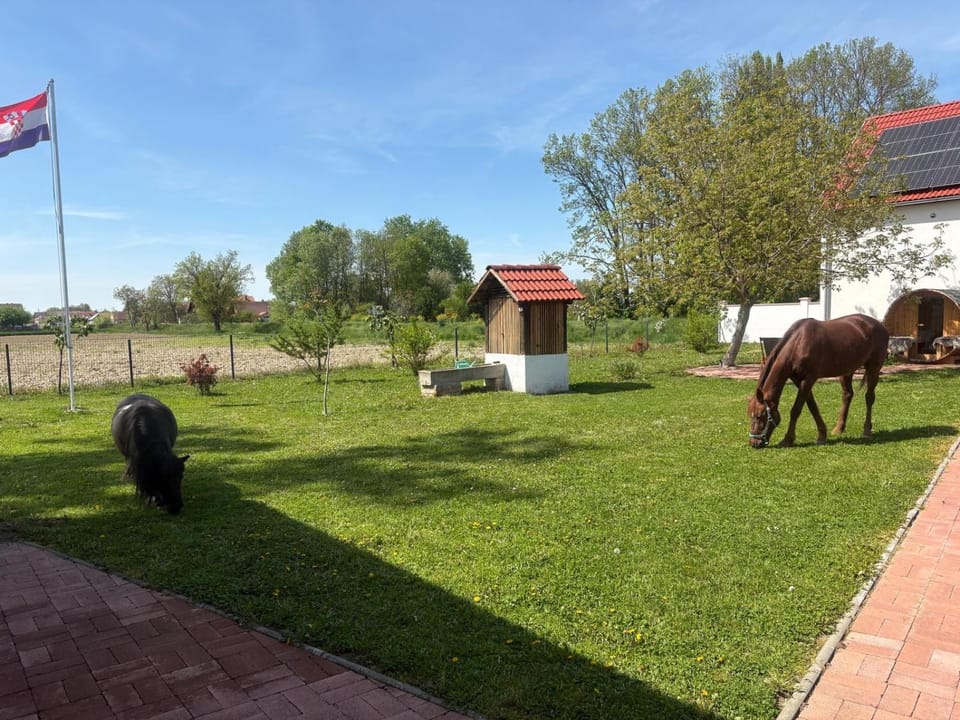 Marijini dvori Country House in Croatia