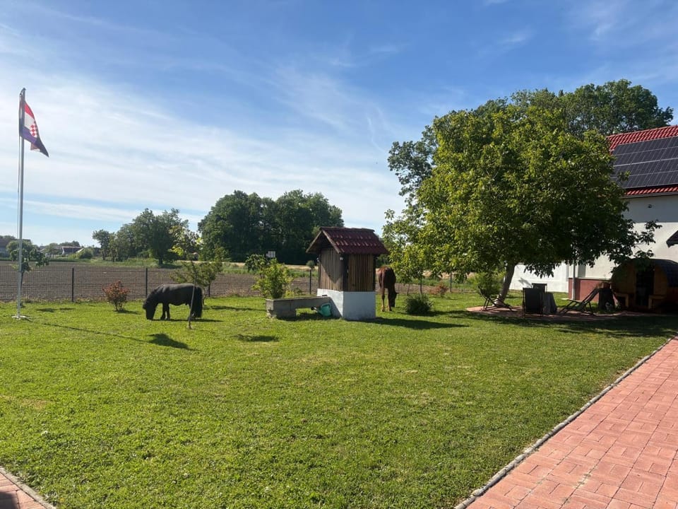 Marijini dvori Country House in Croatia