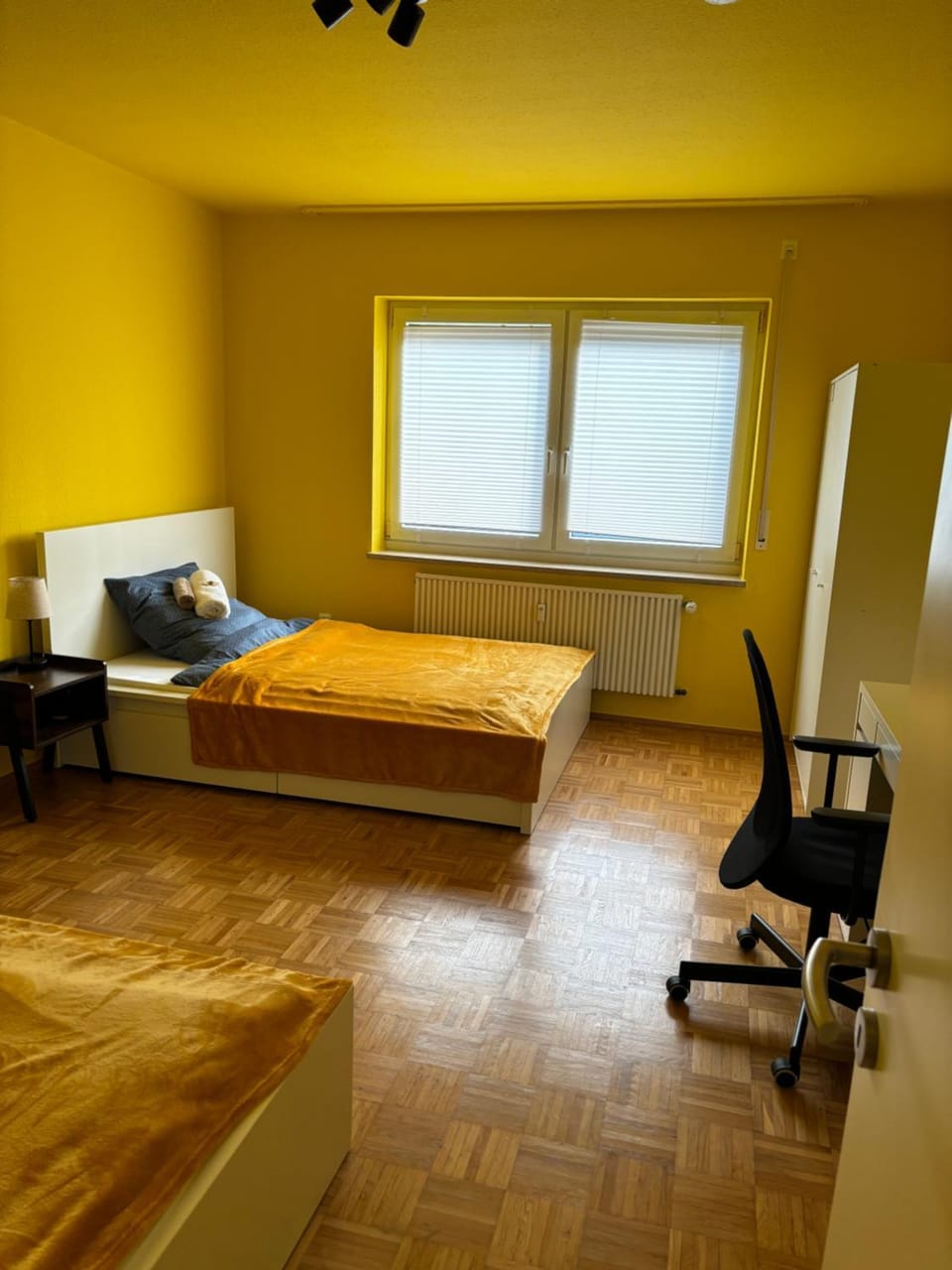 Bed, Photo of the whole room, Bedroom, wardrobe