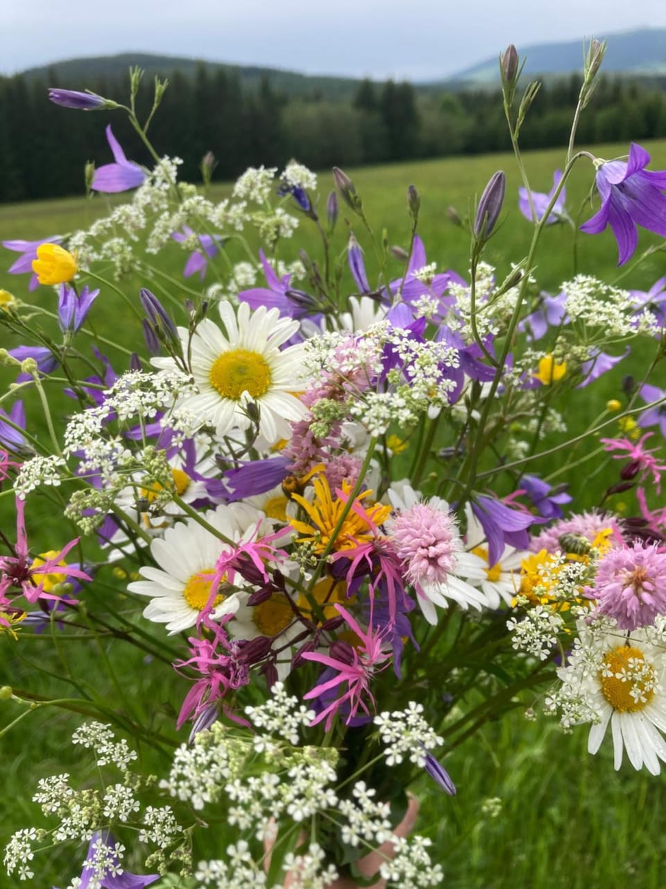 Off site, room service