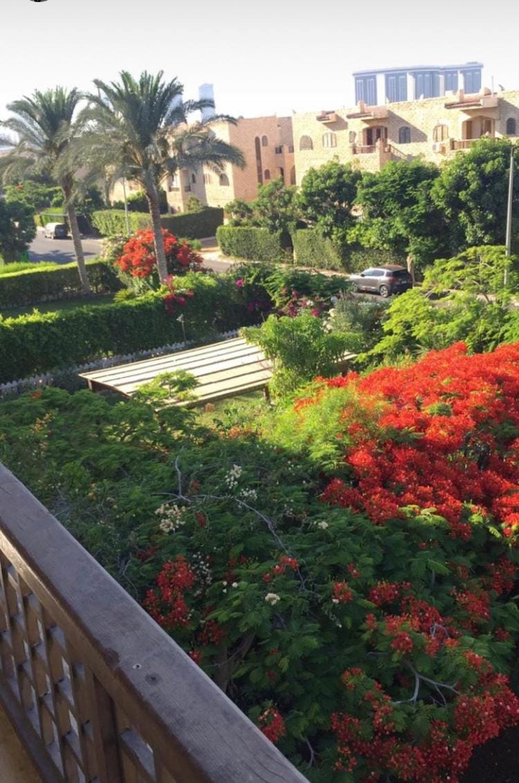 Day, Garden view