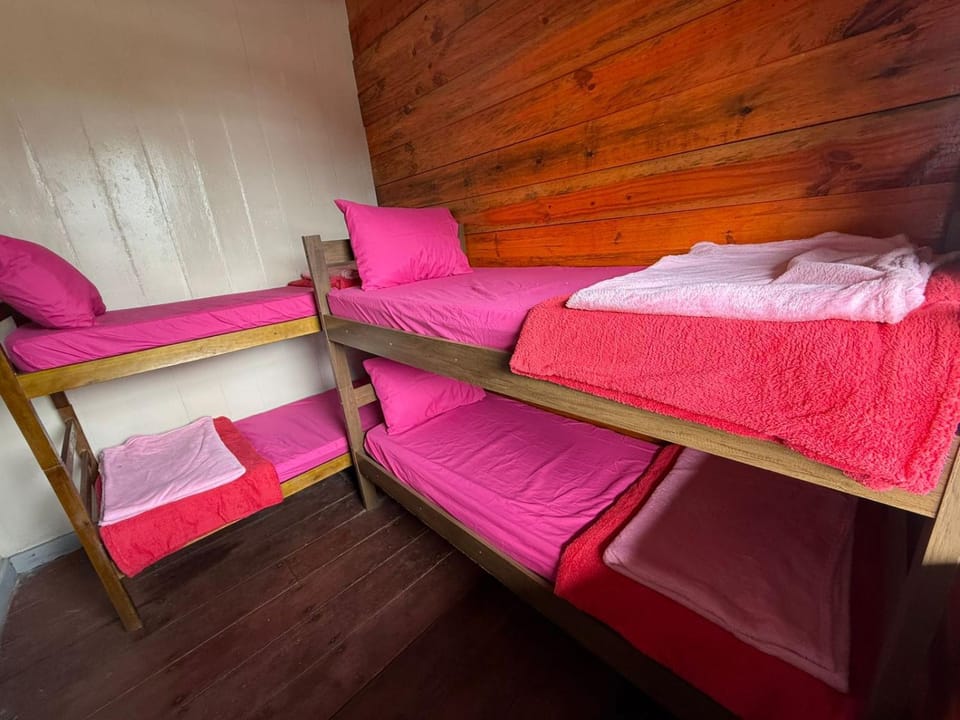 Photo of the whole room, Bedroom, bunk bed
