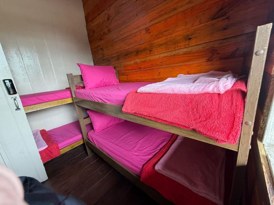 Photo of the whole room, Bedroom, bunk bed